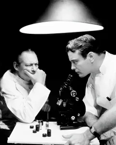 Doctors Prints: YOUNG DR. KILDARE, Lew Ayres, Lionel Barrymore, 1938