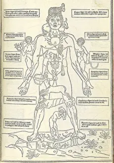 Symbolism Prints: Zodiac Man from illustrating how the human body relates to the zodiac signs
