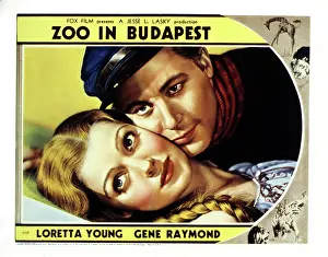 2017 Prints: ZOO IN BUDAPEST, US lobbycard, from left